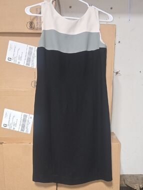 Petite Sophisticate Sleeveless Colorblock Midi Dress - Cream, Sage & Black